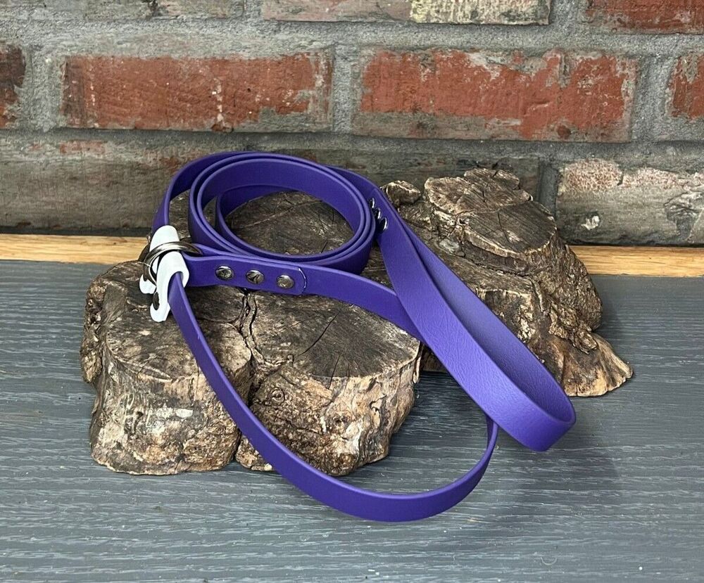 6’ Biothane Convertible Slip Dog Leash No Pull Harness or Head Halter 3/4" wide